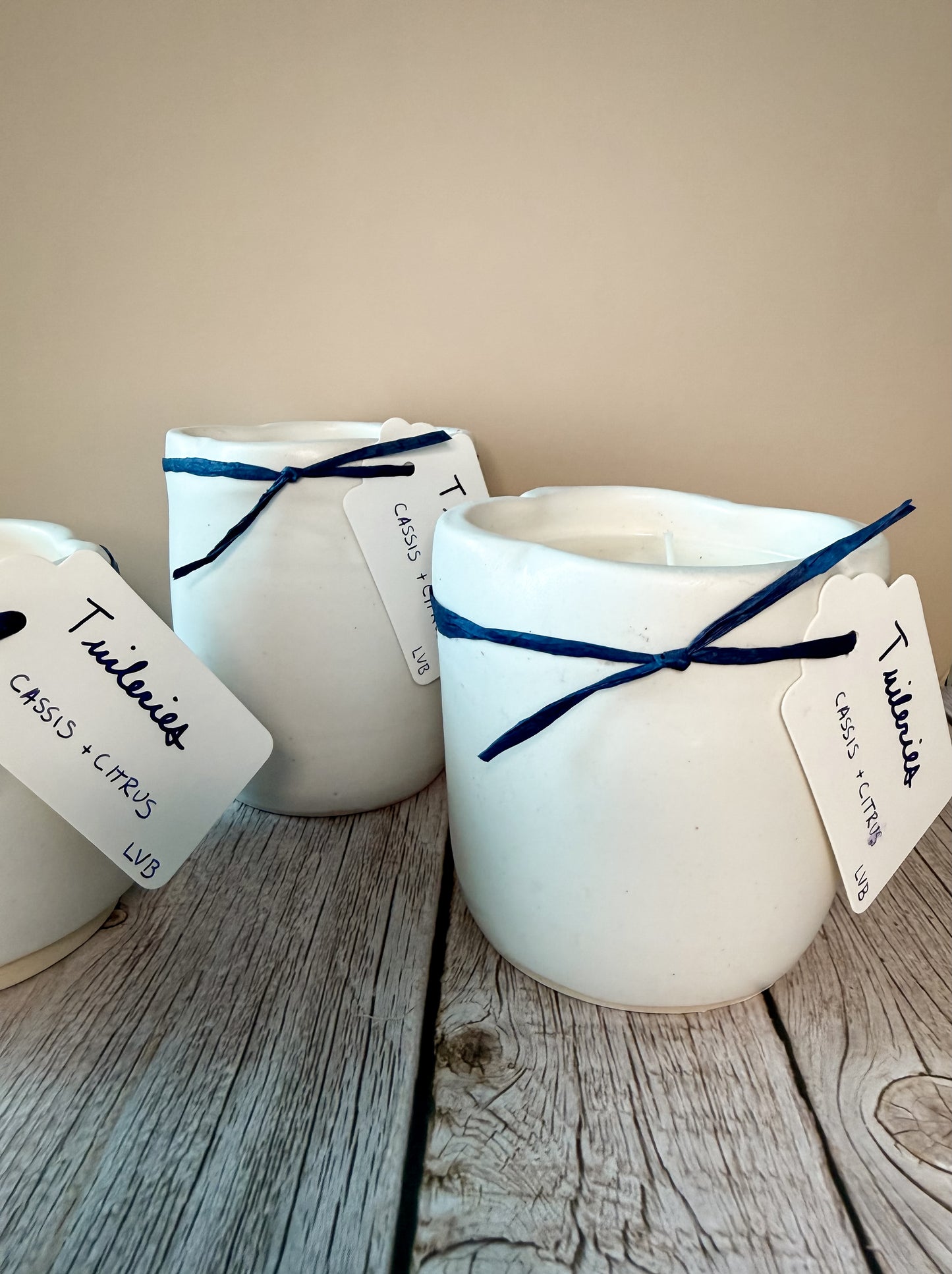 Tuileries -- Cassis + Citrus Soy Porcelain Candle