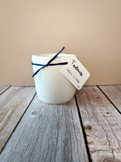 Tuileries -- Cassis + Citrus Soy Porcelain Candle