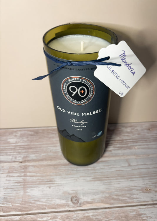 Mendoza --  Cilanto + Coconut Soy Candle