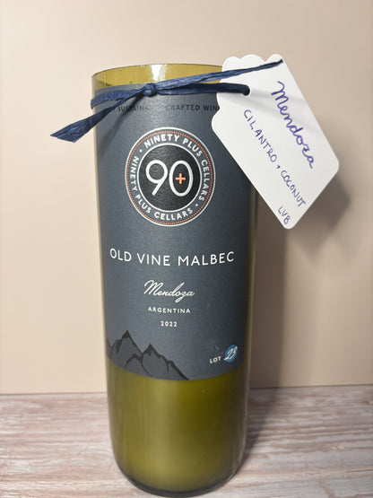 Mendoza --  Cilanto + Coconut Soy Candle